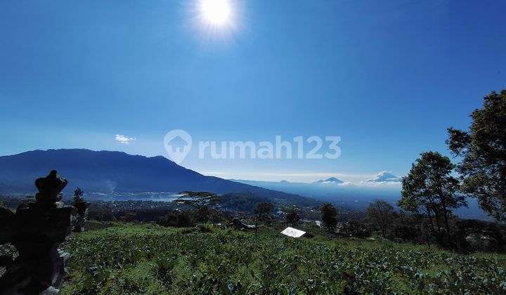 Land for Sale Location Bedugul