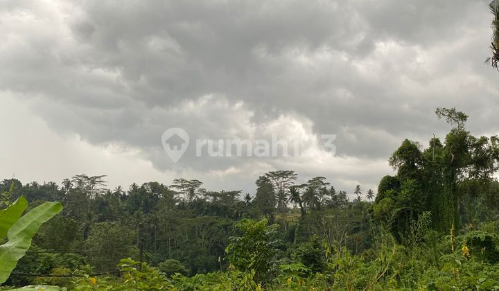 Tanah Jual Lokasi Payogan