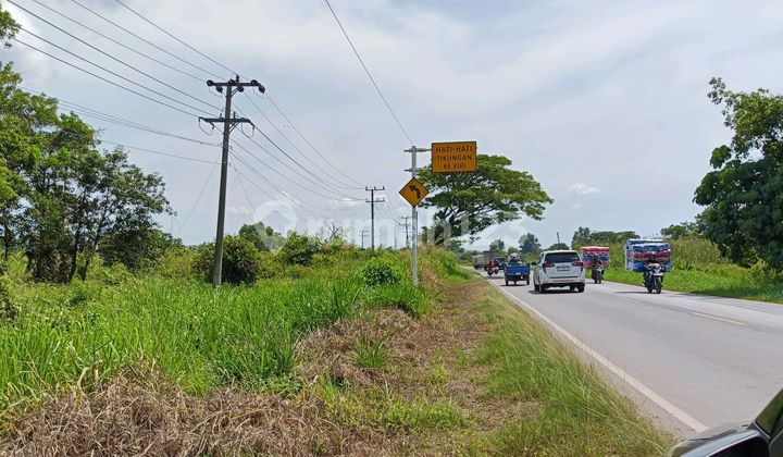 Tanah Strategis Pinggir Jalan Lingkar Selatan Sungai Pinang Jakabaring Luas Tanah 20.400M² SHM. Dekat. Universitas, Rumah Sakit dan Tol. Harga Rp12miliar Kontak Wa 0812xxxxxxxx. Tanah Strategis Pinggir Jalan Lingkar Selatan Sungai Pinang Jakabaring Luas Tanah 20.400M² SHM. Dekat. Universitas, Rumah Sakit dan Tol. Harga Rp12miliar Kontak Wa 0812xxxxxxxx.