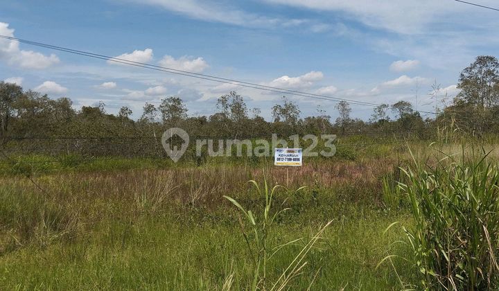 Tanah Strategis Pinggir Jalan Lingkar Selatan Sungai Pinang Jakabaring, Cocok untuk Usaha Apa Saja/Investasi, Sudah di Timbun Siap Bangun, Bebas Banjir, Luas Tanah 300M² SHM, Harga Rp660juta, Rp2.2juta/M² Nego. Dekat Perumahan, Opi Mall, ******** dan Rs.h