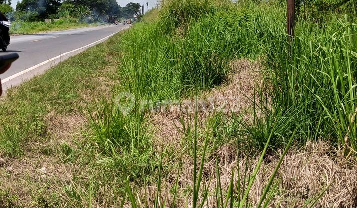 Tanah Strategis Pinggir Jalan Lingkar Selatan Sungai Pinang Jakabaring Luas Tanah 20.400M² SHM. Dekat. Universitas, Rumah Sakit dan Tol. Harga Rp12miliar Kontak Wa 0812xxxxxxxx.