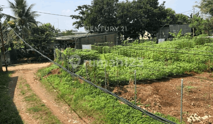 Dijual Cepat Kavling Siap Bangun Di Pamulang 