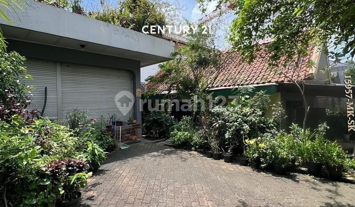 Dijual Cepat Rumah Hitung Tanah Strategis Cocok Buat Kost Dijual Cepat Rumah Hitung Tanah Strategis Cocok Buat Kost