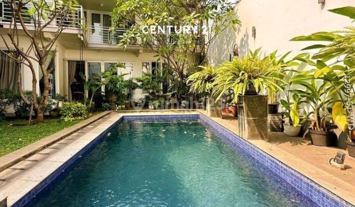 Dijual Rumah Mewah Dilengkapi Swimming Pool Di Bintaro Sektor 9 1