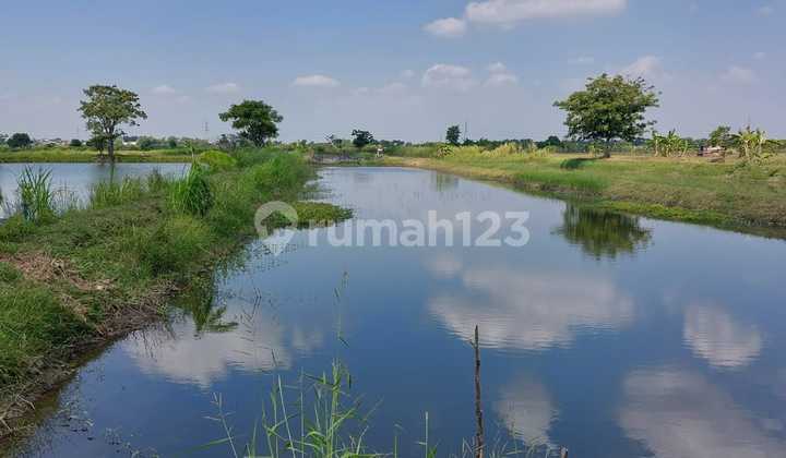 For Sale Gresik Pond ready for sale