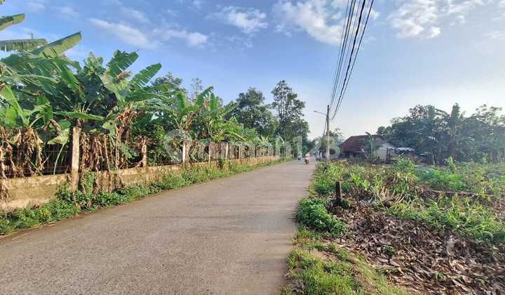 Kavling Murah Cisauk, Dekat Stasiun Jatake & Tol Legok. Terima SHM
