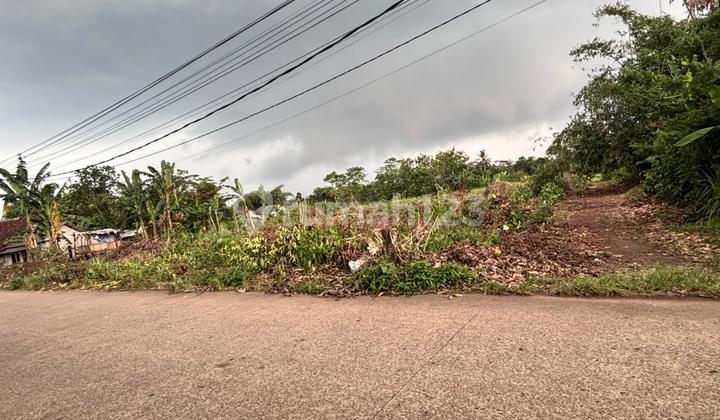 Kavling Murah 1 Jt-An Area Cisauk, Dekat Stasiun Jatake. SHM Kavling Murah 1 Jt-An Area Cisauk, Dekat Stasiun Jatake. SHM