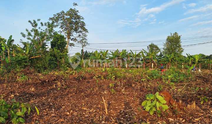 Cheap Plot 1 Million-Per Meter Cisauk, Near Station & Jatake Legok