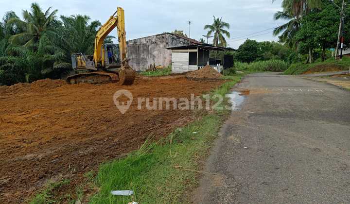 Dekat Taman Buah Mekarsari, Kavling SHM 2 Jt-An Cileungsi, Bogor Dekat Taman Buah Mekarsari, Kavling SHM 2 Jt-An Cileungsi, Bogor