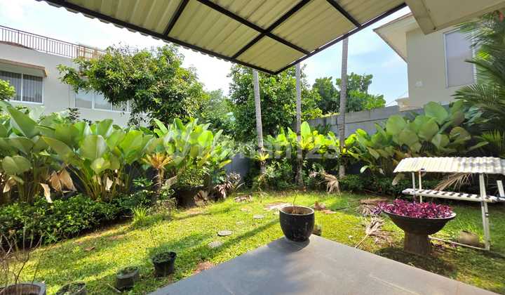 Jual Cepat Rumah Mewah Cajuputi De Park Bsd