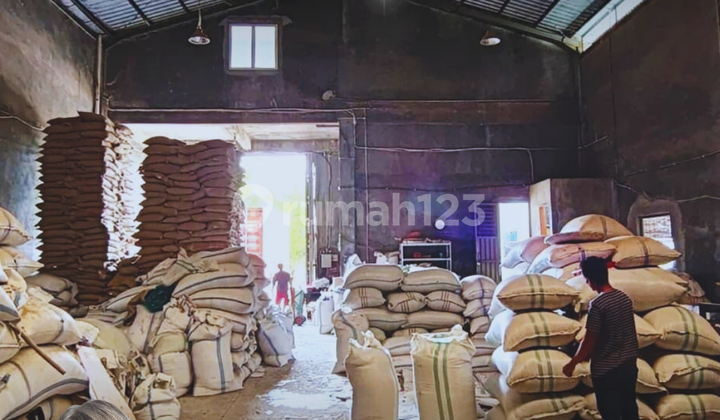 Cheap warehouse location on bright star street