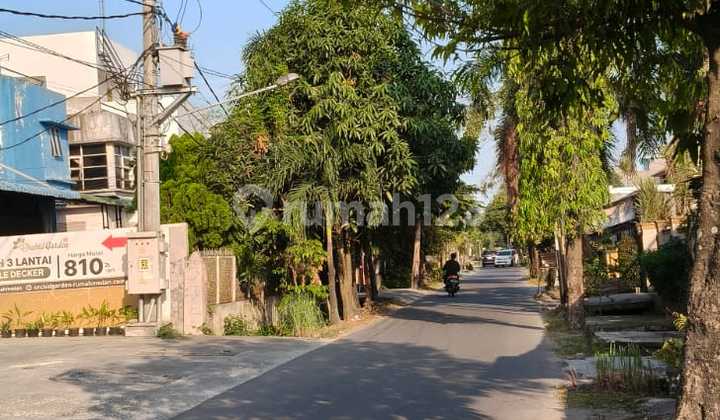 For Sale New Shop House Orchid Garden 2