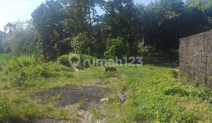 Tanah Pura Banyu Kuning Padangsambian Kelod Denpasar Tanah Pura Banyu Kuning Padangsambian Kelod Denpasar
