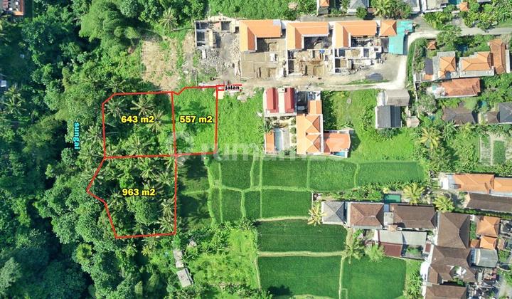 Tanah Los Sungai Tirta Tawar Ubud Bali Tanah Los Sungai Tirta Tawar Ubud Bali