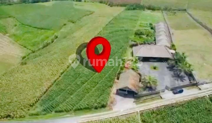 Tanah Pantai Kelecung Tabanan