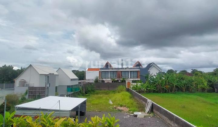 Cheap Land Umalas Kerobokan Badung