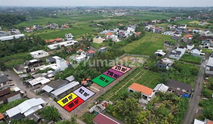 Tanah Kavling Kedungu Tabanan Bali Tanah Kavling Kedungu Tabanan Bali