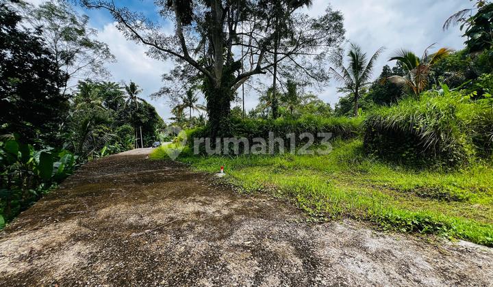 Tanah Jungle Ubud Gianyar