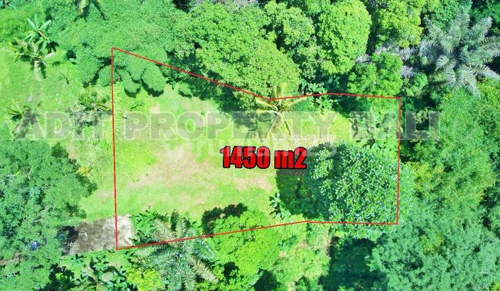 Tanah View Jungle & Sungai Payangan Ubud