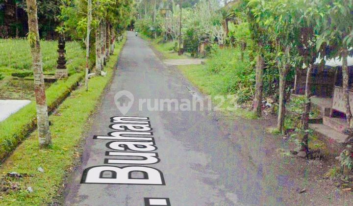 Tanah View Sawah Buahan Tabanan Bali Tanah View Sawah Buahan Tabanan Bali