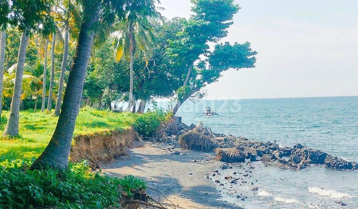 Tanah Beach Front Kubutambahan Buleleng Singaraja