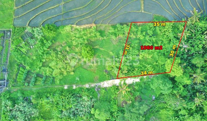 Tanah View Sawah Pantai Nyanyi Kediri Tabanan Bali