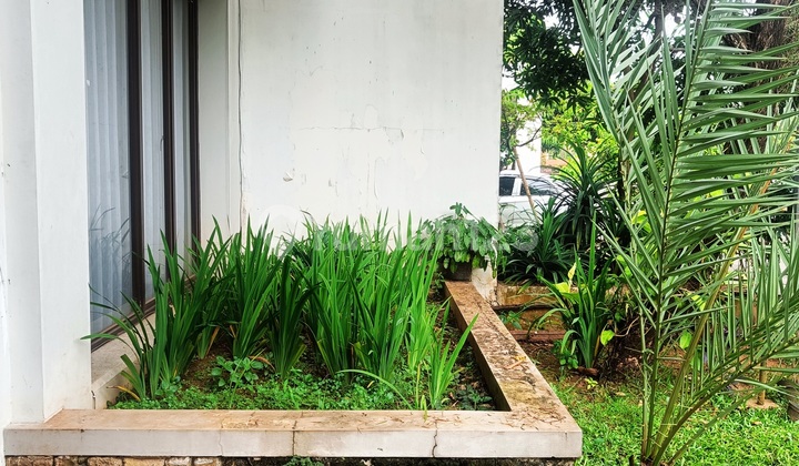 Disewakan Rumah Full Furnish di Lavanya The Avani Bsd Disewakan Rumah Full Furnish di Lavanya The Avani Bsd