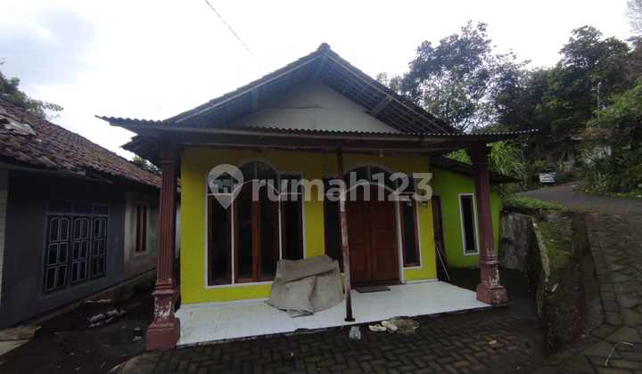 QUICK SALE HOUSE 100 MILLION! House with 240m² land area in Prigen, Pasuruan QUICK SALE HOUSE 100 MILLION! House with 240m² land area in Prigen, Pasuruan