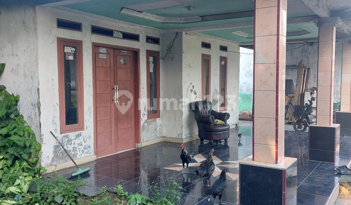 Rumah Termurah di Tigaraksa! LT 279m² - Cocok Renovasi & Investasi! 2