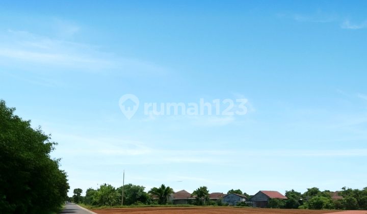 Promo Tanah Jogja, 10 Menit Kampus Ugm, Shm Pekarangan