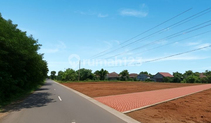 Land on Damai Road, 10 Minutes to UGM Campus, Accessible for Passing Vehicles