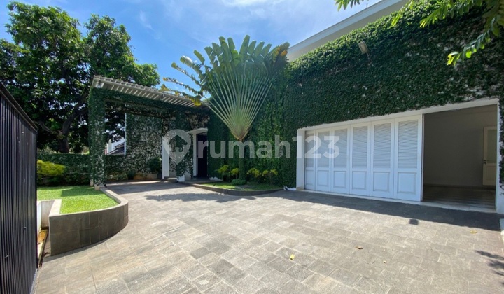 Rumah Tropical Modern  2