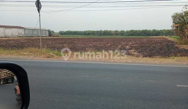 Dijual Tanah Karang Pakis Kabuh di Kabuh Tanah