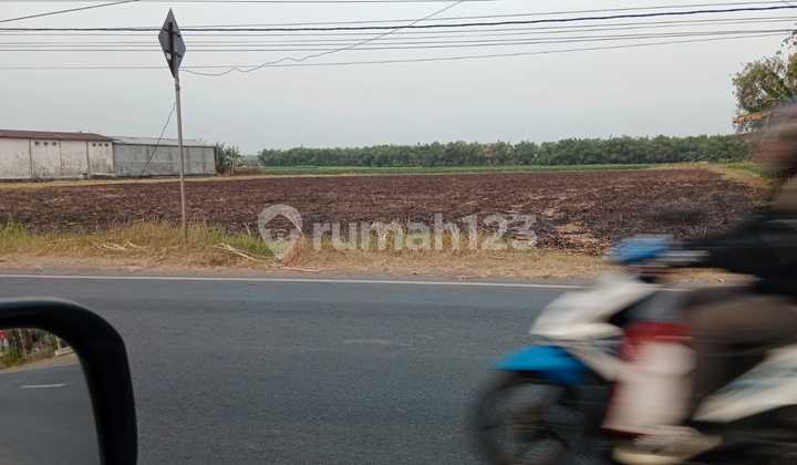 Dijual Tanah Karang Pakis Kabuh di Kabuh Tanah