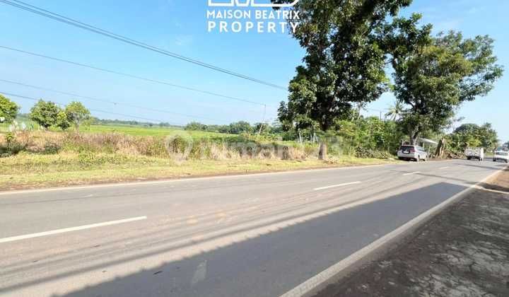 Dijual Cepat Tanah Dkt Gerbang Tol Bs Utk Hotel,Tempat Wisata,Perumahan,Pabrik,Gudang Dll Harga Ok di Subang Jawa Barat