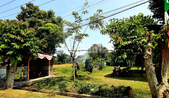 Dijual Cepat Tanah Kavling Murah Cocok untuk Rumah,Kost/Kostan Dekat Rsud Ciereng Subang- Sebelah Lapangan Bola Ciereng- Dekat Planet Waterboom Subang Jabar Dijual Cepat Tanah Kavling Murah Cocok untuk Rumah,Kost/Kostan Dekat Rsud Ciereng Subang- Sebelah Lapangan Bola Ciereng- Dekat Planet Waterboom Subang Jabar