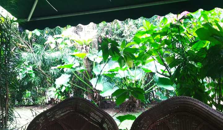 Di Jual Rumah 2 Lantai Cluster Teratai di Rancamaya Golf Estate Bogor Kel. Rancamaya Kec. Bogor Selatan Kota Bogor. 2