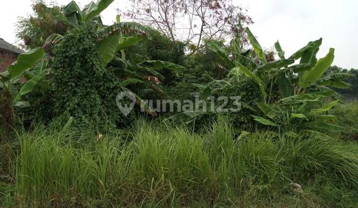 Dijual Tanah Kavling Jln. PLN Sukaraya Karangbahagia Cikarang Bekasi