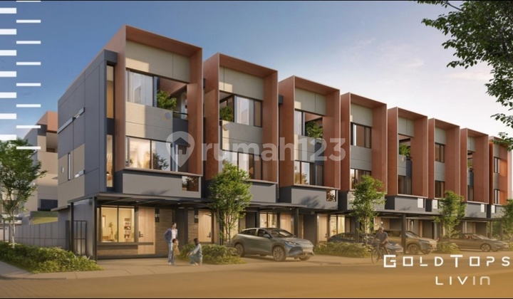 Gold Tops Ok Livin 5×12.5M 5Enses Collection Lippo Cikarang