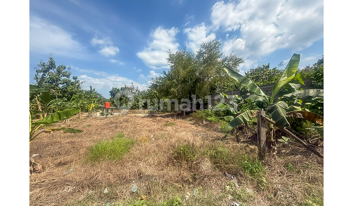 Cheap Land Area Tembalang 1
