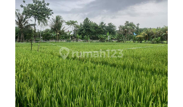 Tanah, SHM, di Jonggol