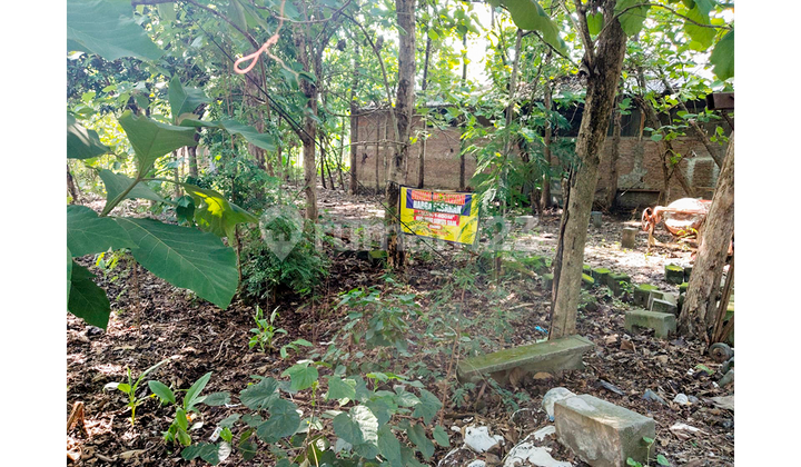 Cheap Land Area Tembalang 2