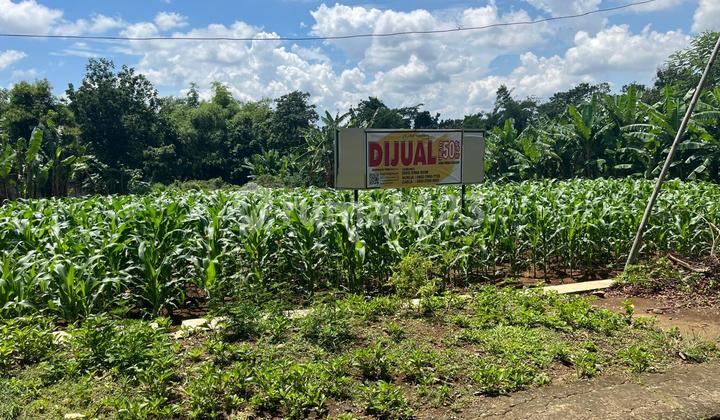 Tanah Murah Dekat Tawangmangu 130Rb/M Tanah Murah Dekat Tawangmangu 130Rb/M