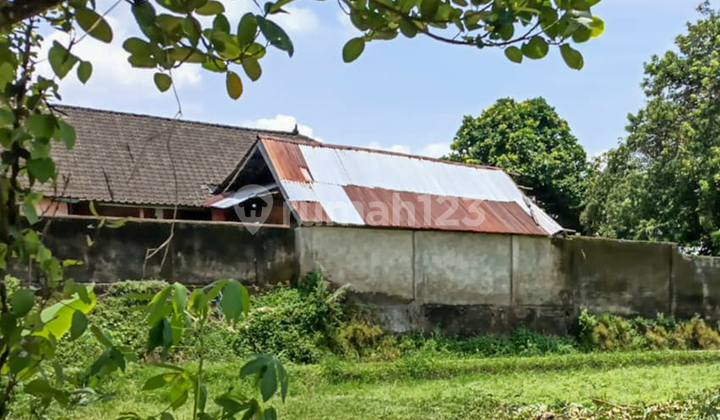 Syariah, Rumah, 1 Lantai, SHM, Dekat Sekolah Negeri, Ada di Lingkungan Islami 2
