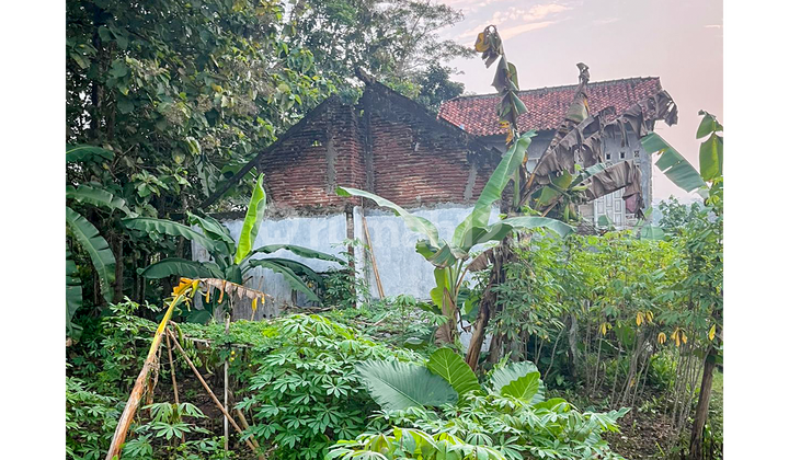 Dijual Rumah Murah Wanareja 2