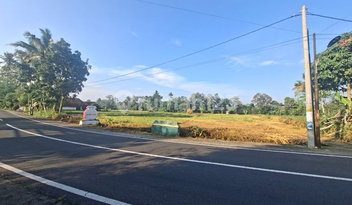 Yogyakarta Land by the Main Road Area near UII Campus and Kopi Klothok, Certified Land Title for Yard