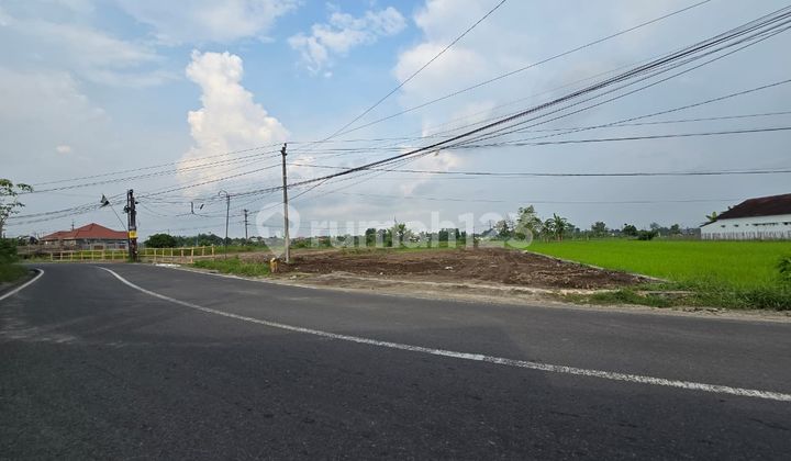 Tanah Jogja Dekat Kampus Umy dan Tol Baru Jogja, View Sawah Tanah Jogja Dekat Kampus Umy dan Tol Baru Jogja, View Sawah