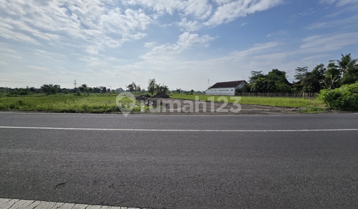 Tanah Jogja Murah, Hanya 7 Menit Kampus Umy, SHM Pekarangan Tanah Jogja Murah, Hanya 7 Menit Kampus Umy, SHM Pekarangan
