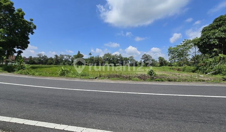 Tanah Tepi Jalan Raya Dekat Kampus Uii dan Kopi Klothok Jogja, View Sawah