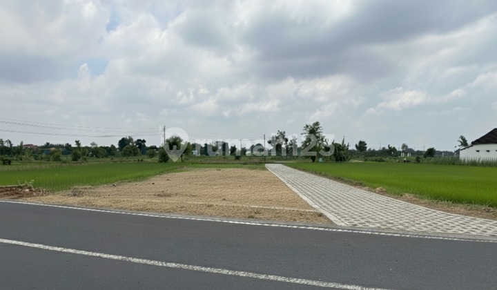 Tanah Jogja Area Kampus UMY Jogja, Legalitas Aman dan Transaksi Notaris